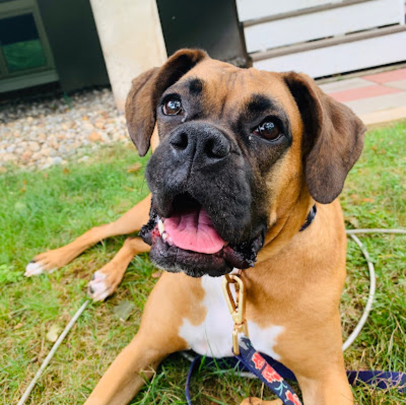 Meet your Posher, Matthew - Picture 1 of 1